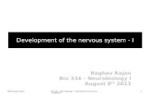 Development of the nervous system - I