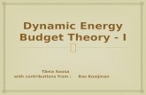 Dynamic Energy  Budget  Theory  - I
