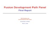 Fusion Development Path Panel Final Report