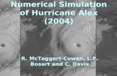 Numerical Simulation of Hurricane Alex (2004)