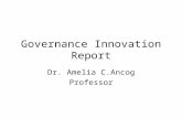 Governance Innovation Report