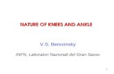 NATURE OF KNEES AND ANKLE