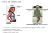 TERMS OF REFERENCE