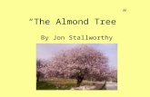 “The Almond Tree”