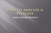How to Analyze a Pedigree