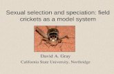 Sexual selection and speciation: field crickets as a model system