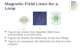 Magnetic Field Lines for a Loop
