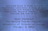 Amani Abuhabsah Pre-Service Teacher Program  University of Illinois at Chicago Chicago, IL 60612