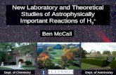 New Laboratory and Theoretical Studies of Astrophysically Important Reactions of H 3 +