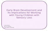 Early Brain Development and Its Implications for Working with Young Children with Sensory Loss