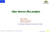 Near detector flux analysis