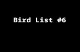 Bird  List #6