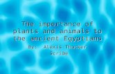 The importance of plants and animals to the ancient Egyptians