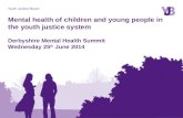 Mental health in the youth justice system