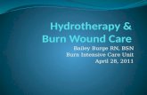 Hydrotherapy &  Burn Wound Care