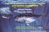 Habitat prediction for southern bluefin tuna spatial management