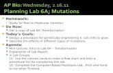 AP Bio:  Wednesday, 2.16.11 Planning Lab 6A; Mutations