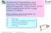 Overview CMS Electromagnetic Calorimeter Avalanche Photodiodes Vacuum Phototriodes Summary