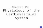 Chapter 19:  Physiology of the Cardiovascular System