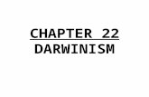 CHAPTER 22 DARWINISM