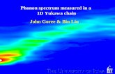 Phonon spectrum measured in a  1D Yukawa chain