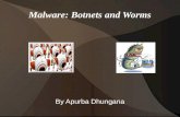 Malware: Botnets and Worms