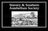 Slavery & Southern Antebellum Society