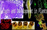 Growth and Development in Plants