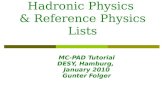 Hadronic Physics  & Reference Physics Lists