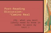 Post-Reading Discussion: “Camino Real