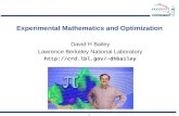 Experimental Mathematics and Optimization