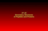27.19 Secondary Structures of Peptides and Proteins