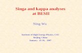 Singa and kappa analyses  at BESII