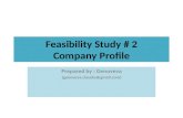 Feasibility Study  # 2 Company Profile