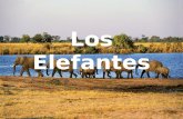 Los Elefantes