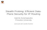 Stealth Probing: Efficient Data-Plane Security for IP Routing