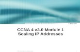 CCNA 4 v3.0 Module 1 Scaling IP Addresses