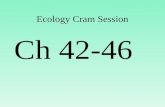 Ecology Cram Session