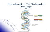 Introduction To Molecular Biology By Salwa Hassan Teama  (M.D)