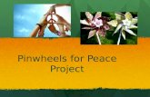 Pinwheels for Peace Project