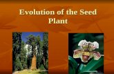 Evolution of the Seed Plant