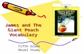 James and The Giant Peach Vocabulary