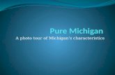 Pure Michigan