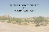 FAITHFUL AND STEADFAST By HAROLD HARSTVEDT