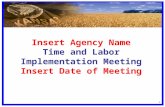 Insert Agency Name Time and Labor Implementation Meeting Insert Date of Meeting