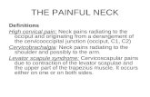 THE PAINFUL NECK
