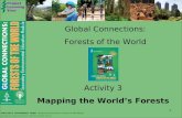 Global Connections: Forests of the World