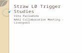 Straw L0 Trigger Studies