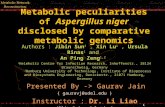 Metabolic peculiarities of  Aspergillus niger disclosed by comparative metabolic genomics