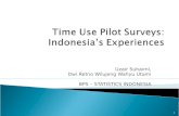 Time Use Pilot Surveys:  Indonesia’s Experiences